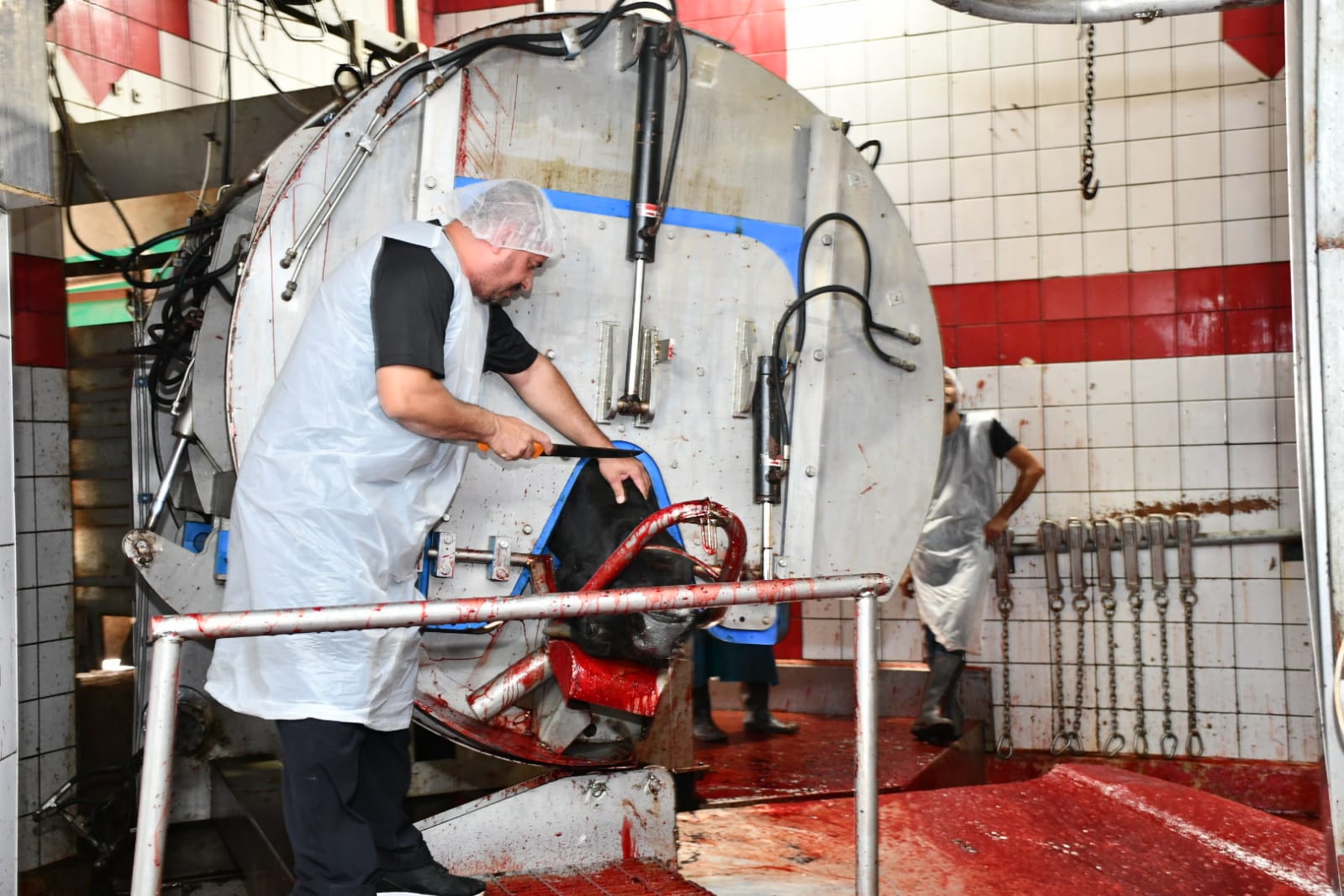 WhatsApp Image 2020-07-31 at 11.28.32 AM (1).jpeg.jpeg